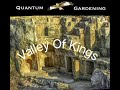 Valley Of Kings             @5DGardening