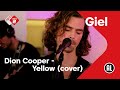 Capture de la vidéo Dion Cooper - Yellow (Coldplay Cover) | Npo Radio 2