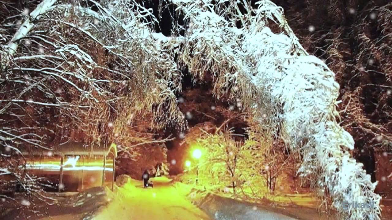 Света Зима Фото