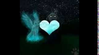 Crowpaw and Feathertail  Broken