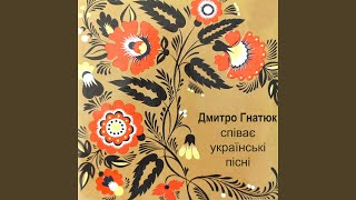 Ой чого ти, дубе