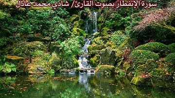 سورة الإنفطار بصوت القارئ/ شادي محمد عادل - Surat Al Infitar