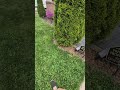 Flowerbed Makeover