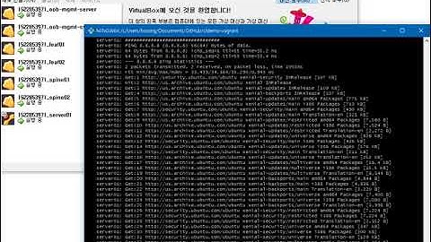 Cumulus VX- cldemo-automation-ansible