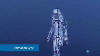 CryENGINE LiveSync - Mocap and DCC Animation Streaming API [2010]