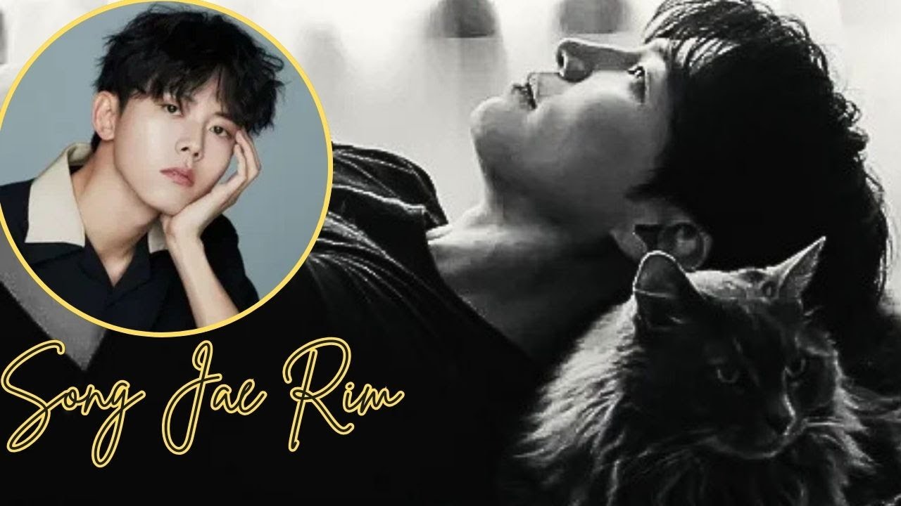 The Truth Has Finally Been Revealed! What Happened to Song Jae Rim ...