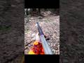 очень быстрый дикий биар отличный выстрел#hunting#chasse#challenge#beautiful