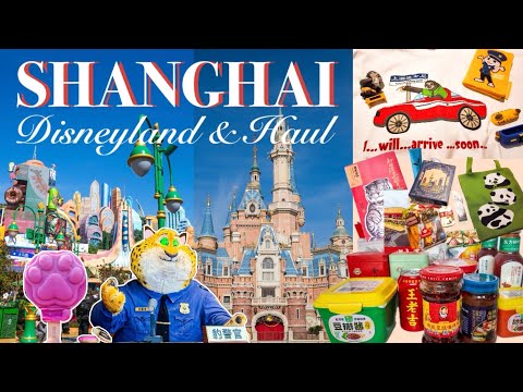 🇨🇳Shanghai Disneyland & Shopping haul/vlog/zootopia/attractions/parade/food/groceries/tea/stationery