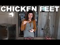 How to make dehydrated chicken feet dog  cat treats  the bk pets homemade dog  cat treats recipe