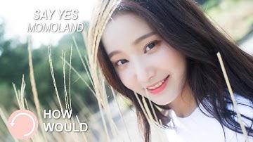 How would MOMOLAND sing Say Yes Line Distribution