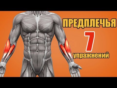 Видео: 12 упражнений для предплечий: с гантелями, тренажерами и дома