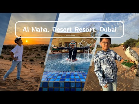 [Travel With EZ #11] Luxury Desert Escape: Al Maha Desert Resort & Spa, Dubai | Travel Vlog