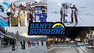 FIRST POW DAY for the 2023-2024 SEASON @ Banff Sunshine Ski Resort!! Travel VLOG for December 2023