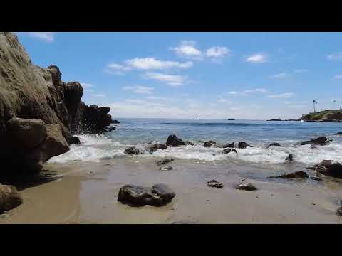 عبد الحليم حافظ أي دمعة حزن موسيقى من روائع بليغ حمدي