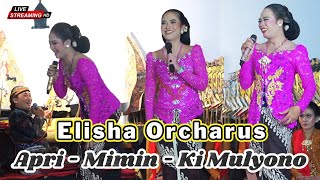 GUYU TERUS ||  ELISHA APRI MIMIN KI MULYONO || LIVE NGUNDUH MANTU || DIMAS AYU || KLATEN 02/10/2023