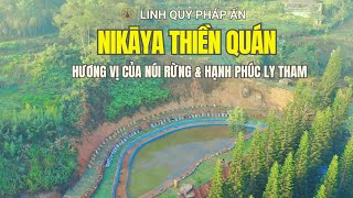 NIKAYA Thiền Quán - Hương Vị Của Núi Rừng & Hạnh Phúc Ly Tham **