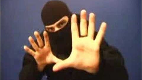 Ask a Ninja Question 11 Ninja Dogs