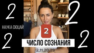 Число Сознания 2. Наука Сюцай. Все Кто Родились 2, 11, 20, 29