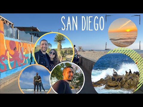 Video: San Diego'daki En İyi Müzeler