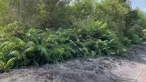 Chủ tịch nước Nguyễn Xuân Phúc kêu gọi đầu tư vào CỦ CHI - TP HCM