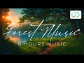 Forest with calm music. Relax, Sleep, Meditation & Focus | Calm Music to Relax 8 Hours Music