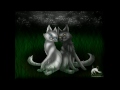 Warrior Cats Forbidden Couples (White Blood - Oh Wonder)