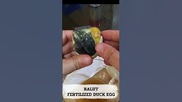 Do You Know What This is? This is a Fertilized Duck Egg! And It