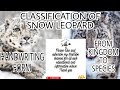 Classification of snow leopard | snow leopard full classification