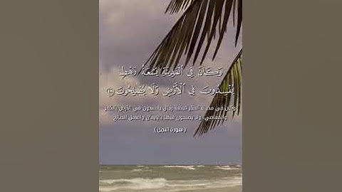 "د/ احمد العربى" ، أجمل تلاوة لسورة النمل🥰🥰🥰