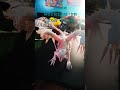 zoh shia from monster hunter