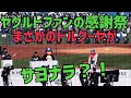 トルクーヤがまさか引退！？ブラジルに？ヤクルトスワローズファン感謝祭(2022年11月27日)