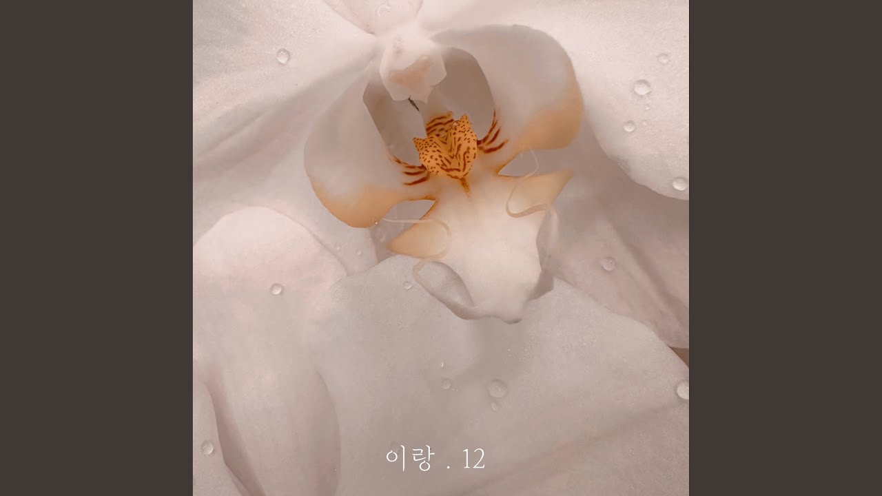 Ver 이랑.12 en YouTube Ver 이랑.12 en YouTube