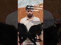 Sonu dog kennel panipat haryana all breeds puppies available 9053917525 call sonu panipat haryana
