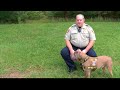 Pit Bull Joins Police Force K9 Pit Bull Joins Police Force K9