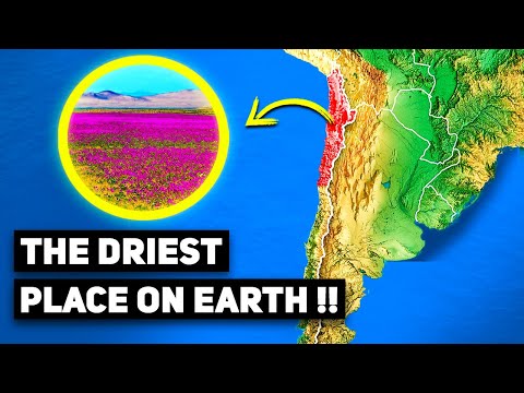 Video: Where is the driest place on Earth