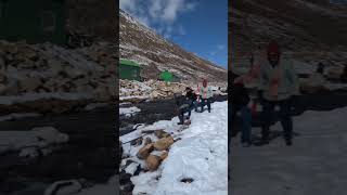 Zero point Sikkim #travel #explore #nature #traveldesire #mountains #love #snow #sikkim #wanderlust