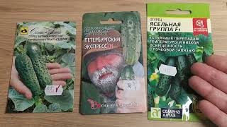 баклажаны 🍆 и огурчики 🥒 на посадку в 2024 году.