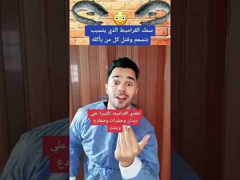 سمك القراميط سم قاتل أحذر منه