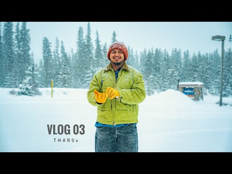 ශීත කාලයේ අවසානය ❄️ | End of winter 🇨🇦🇱🇰| chapter 03 #canada #snow #srilanka #tharux #sinhalavlogs