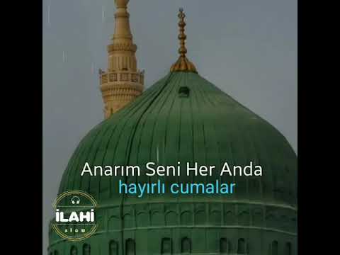 حبيبي يا رسول الله شفيعي يا رسول الله