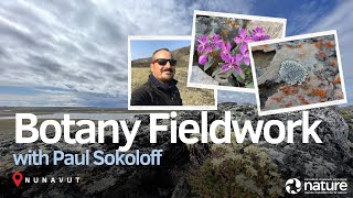 Botany Fieldwork in Nunavut