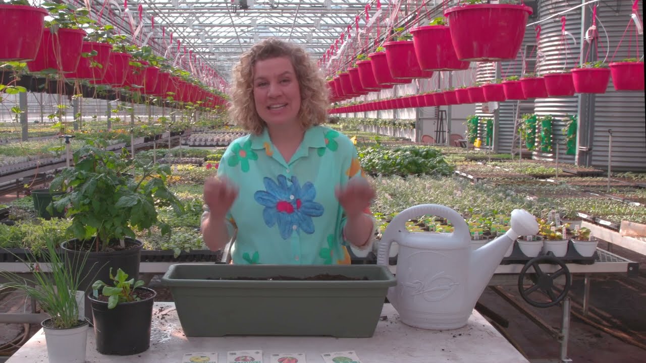Tous les secrets pour cultiver un potager en pot en milieu urbain avec Mlanie Grgroire