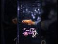 Duck edit || goated || edit #shortsfeed #shortsviral #duck #fypシ #edit