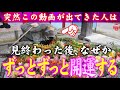 【⚠️強制開運】※見たら1分以内に再生して下さい⚠️もし逃したら二度とありません※見たあと良いことが起こります。本当に不思議です🌈✨⛩️滋賀県兵主大社【遠隔参拝】【リモート参拝】