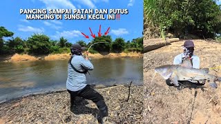 Even though the river is small‼️The smell of hunger in the small river that is starting to dry up...
