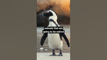 The RED DATA BOOK for animals. #shorts