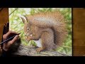 drawing a squirrel with Inktense pencils