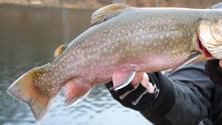 Ny Storfanger Til Put Take Er På Vej