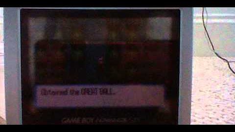 pokemon ruby part 5 (1/2)petalburg woods