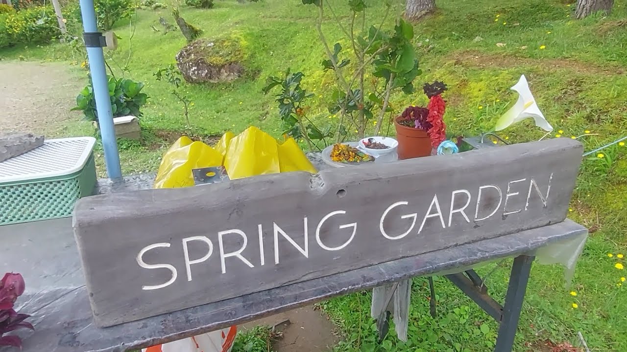 SPRING GARDEN, MESILAU KUNDASANG